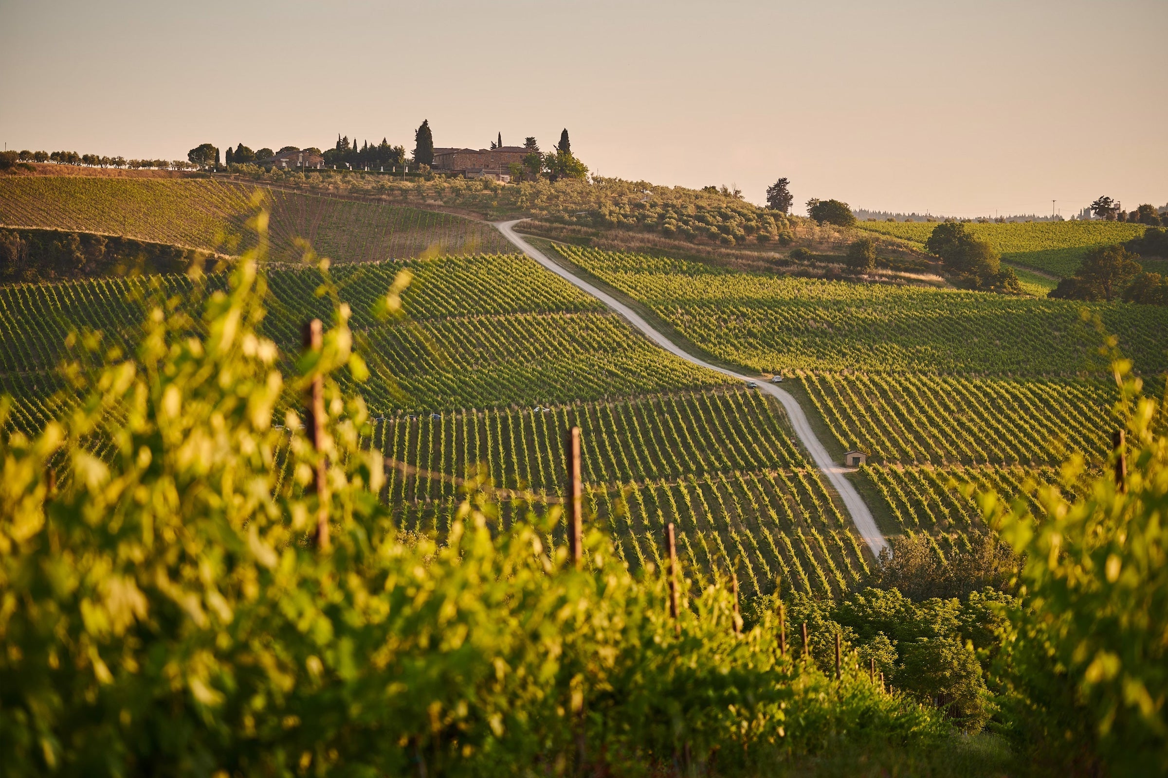 From Italy to the UK: The Craft Heritage Behind Traditional Liqueurs
